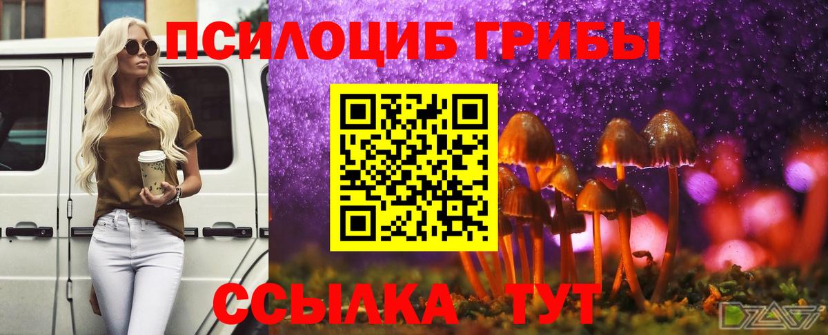 Усть-Джегута  Галлюциногенные грибы Magic Shrooms  Вход с VPN 