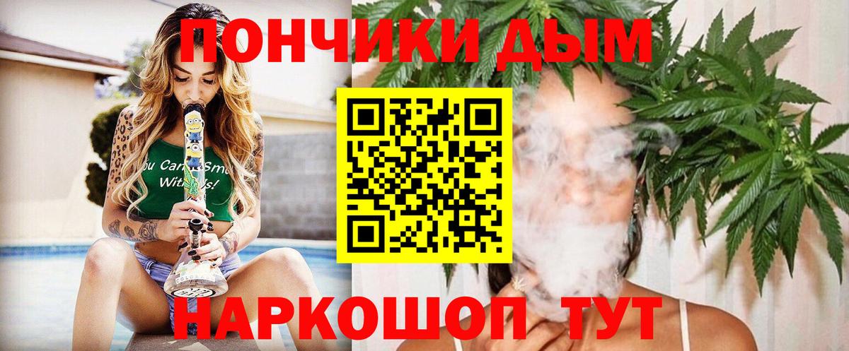 Конопля сатива Усть-Джегута